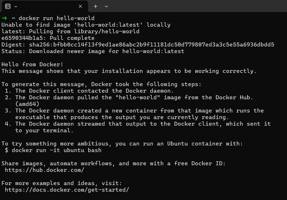 验证Docker